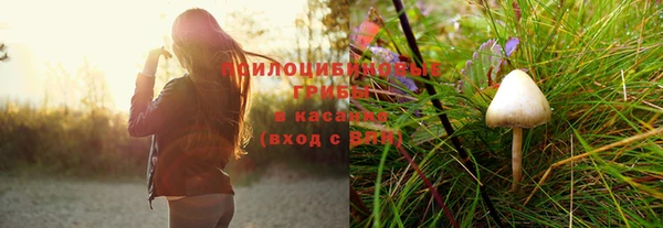 мяу мяу мука Алексеевка