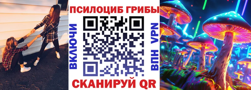 Псилоцибиновые грибы прущие грибы  как найти   Байкальск 